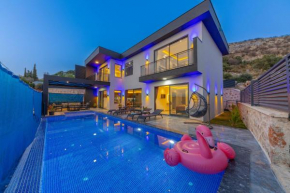 Villa aslan